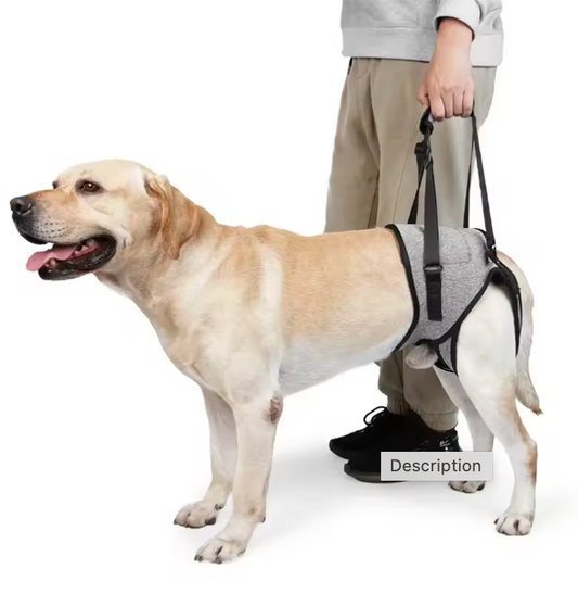 Adjustable Dog Lift Harness